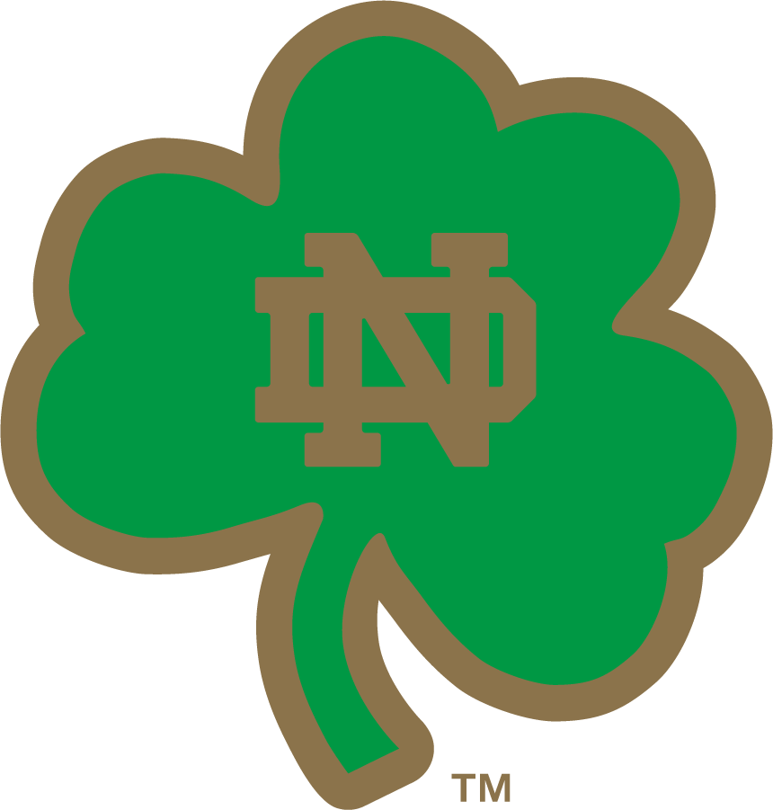 Notre Dame Fighting Irish 2006-2015 Secondary Logo iron on transfers for clothing